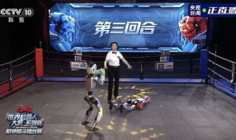 机器人格斗大赛视频,钢铁战士的巅峰对决